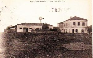 Ain Temouchent 215